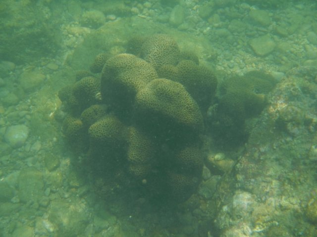 dscn1647